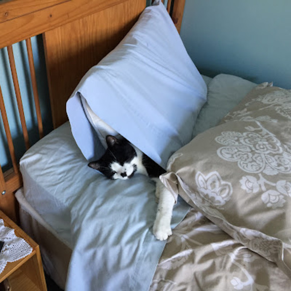 Meet your Posher, Darren - Picture 1 of 1